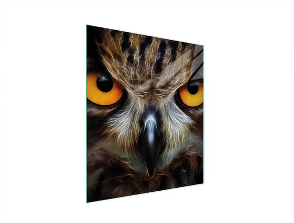 GLAS SKÆREBRÆT 45x52 UGLE