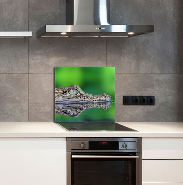 KEITTIÖN LASIPANEELI 65x60 Krokotiili