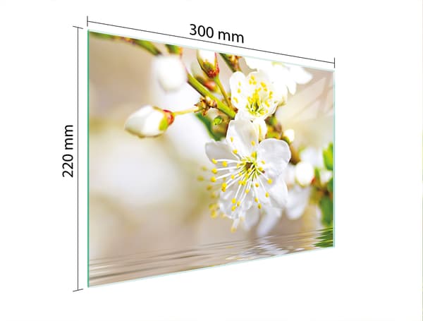 GLAS SKÄRBRÄDA 30x22 PLOMMON