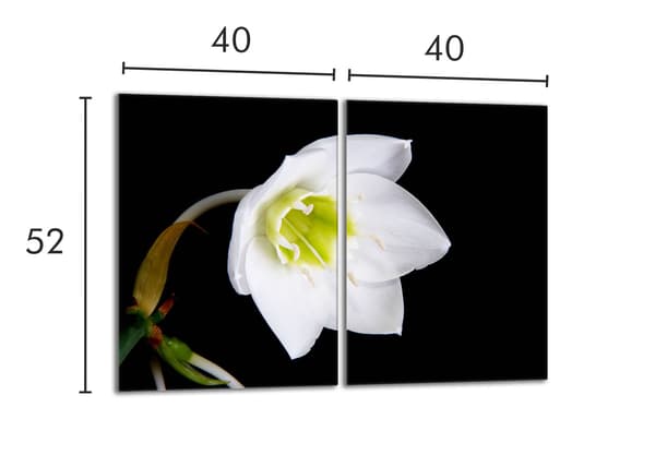 Skyddsplatta i glas för kaminen 2x40x52 Orchidea