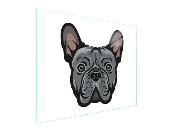 GLAS SKÆREBRÆT 52x40 HUND