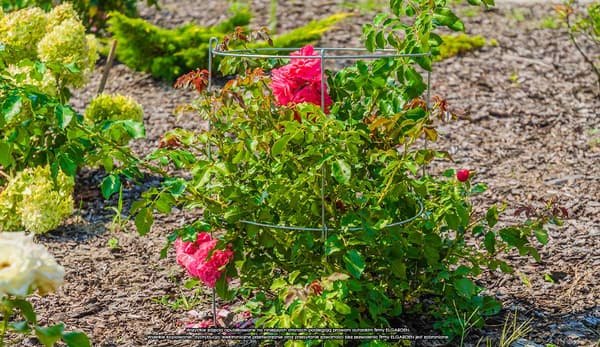 ELGarden blomsterstativ med hjul x2 60