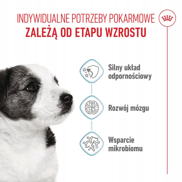 Royal canin shn mini puppy foder 8 kg