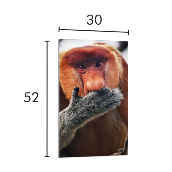GLAS SKÆREBRÆT 30x52 SNABEL
