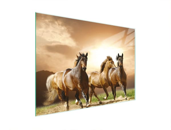 GLAS SKÆREBRÆT 30x22 HESTE