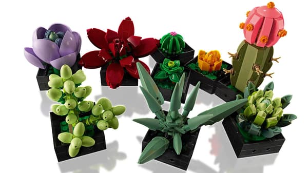 LEGO Botanisk Samling 10309 Sukkulenter