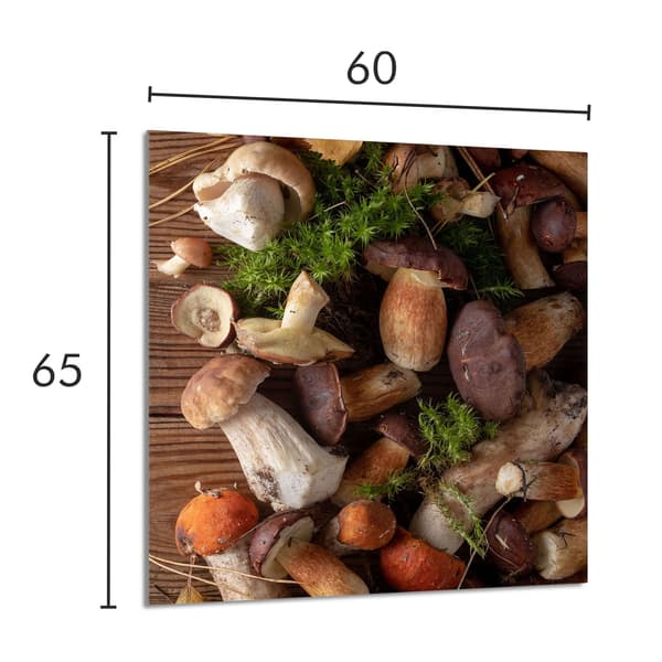 GLASPANEL TIL KØKKEN 60x65 Svampe