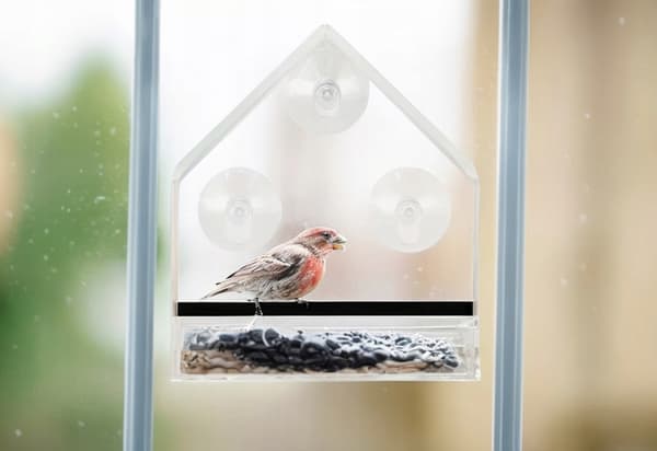 GARDENLINE FUGLEFODERHUS TRANSPARENT 1-DEL EDA 4397
