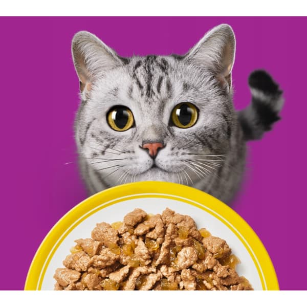 Vådfoder til katte WHISKAS fjerkræ gelépose 80x85g