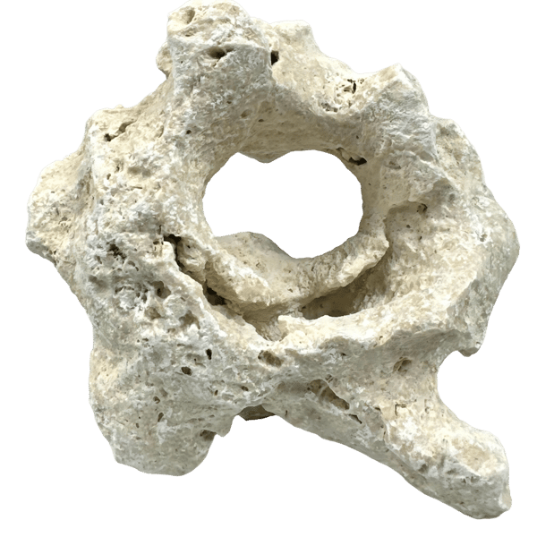 Filippinsk kalksten 10-20 cm