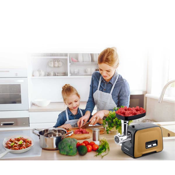 Köttkvarn BD-601B Berdsen 450/1200W