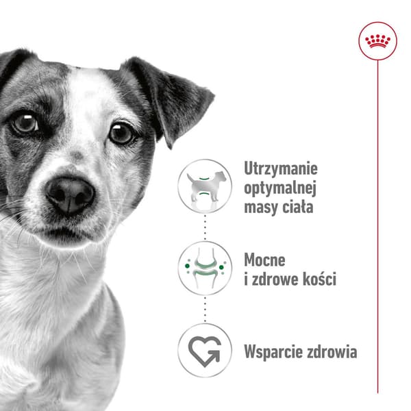 Royal Canin SHN Mini Adult Tørfoder til Hunde 4 kg