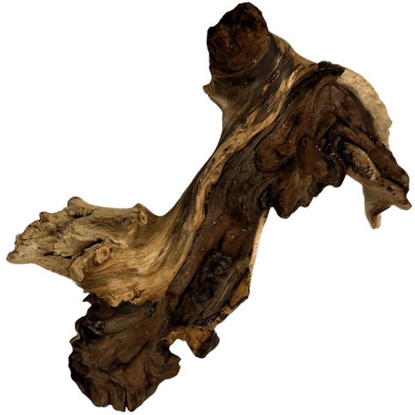 Mopani-rod 21-30 cm