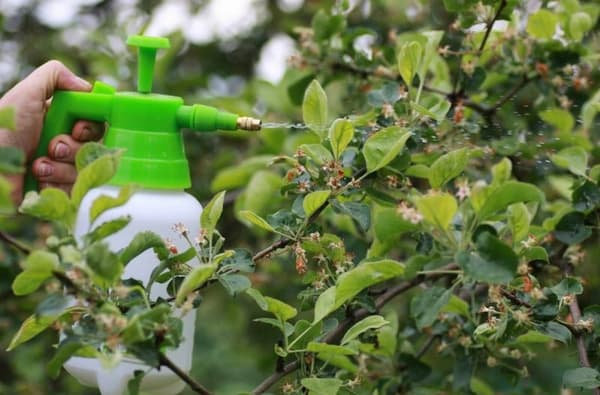 Gardenline burkspruta 2L