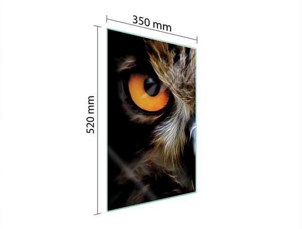 GLASSKÆREBRÆT 35x52 UGLE