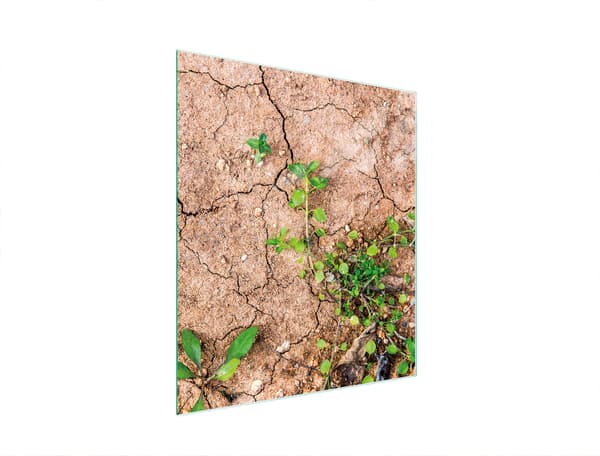 GLAS SKÆREBRÆT 45x52 PLANTER