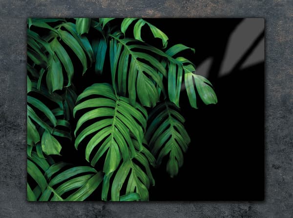 SKÄRBRÄDA I GLAS 52x40 MONSTERA