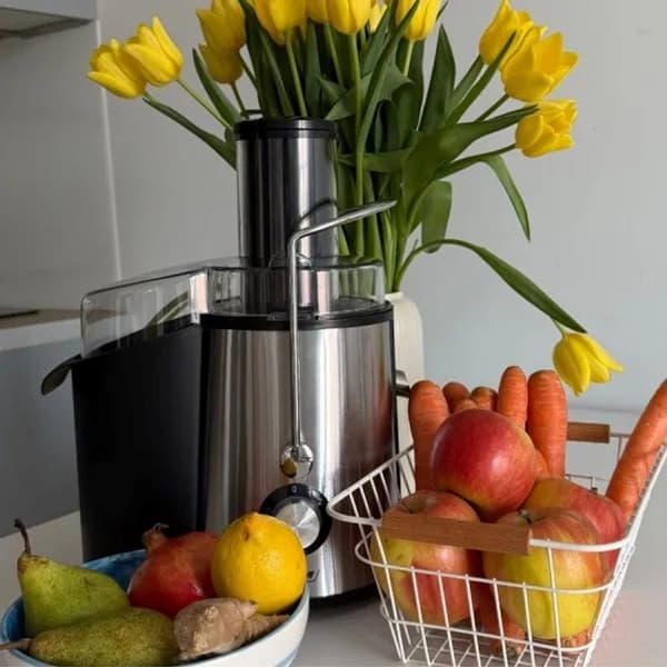 MPM MSO-18M juicer