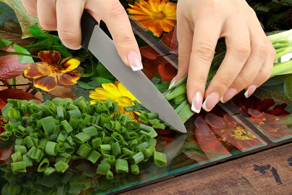 GLASBESKYTTELSESPLADE TIL KOMFUR 85x52 BLOMSTER