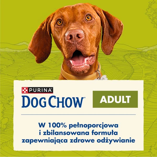 PURINA HUNDFODER VUXEN LAMM 14 KG