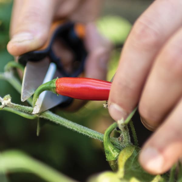 FISKARS SOLID havesaks til at klippe krydderurter, blomster, grøntsager og planter