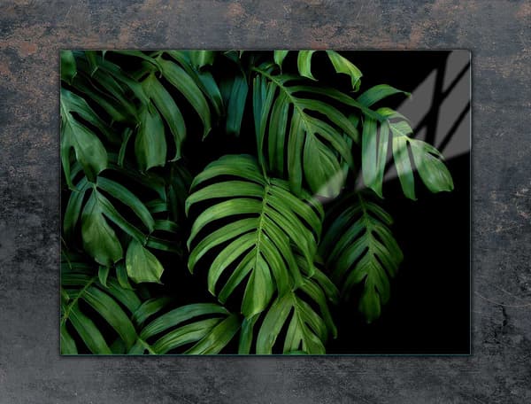 LASINEN SUOJALEVY LIEDELLE 70x52 MONSTERA