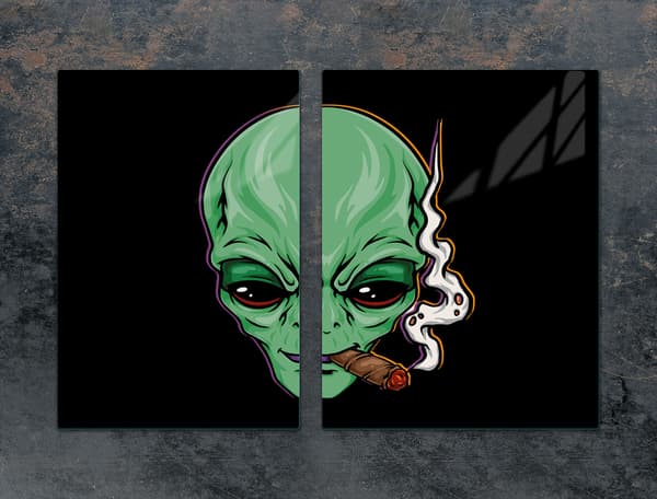 GLASSKYDDSPLÅT 75x52 UFO