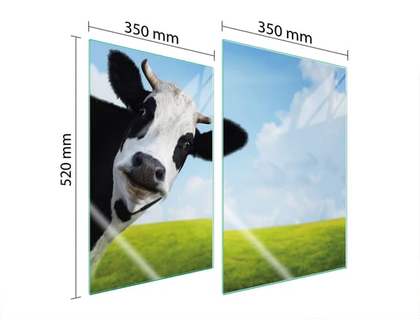 GLASPLADE TIL KØKKEN 2x35x52 COW