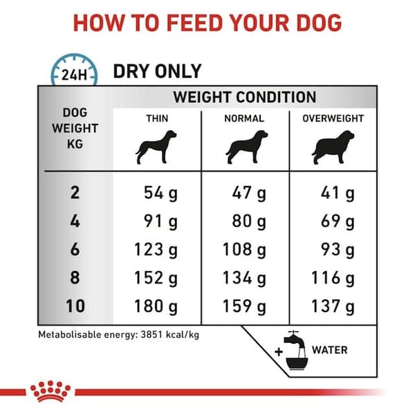 Royal Canin Anallergenic Small 3 kg torrfoder för hundar