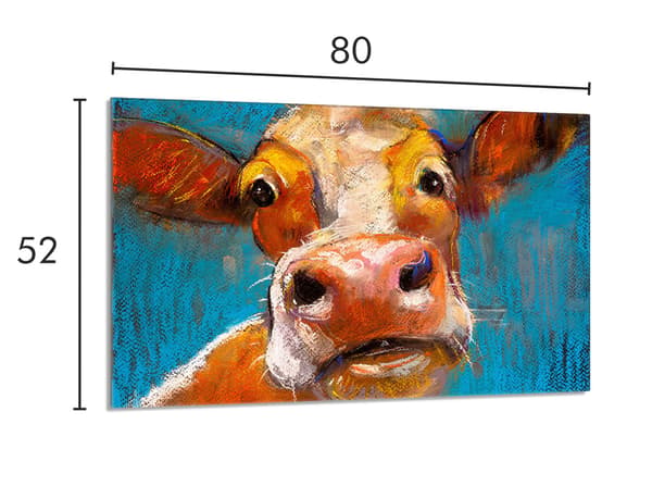Glasbeskyttelsesplade til komfur 80x52 Ko