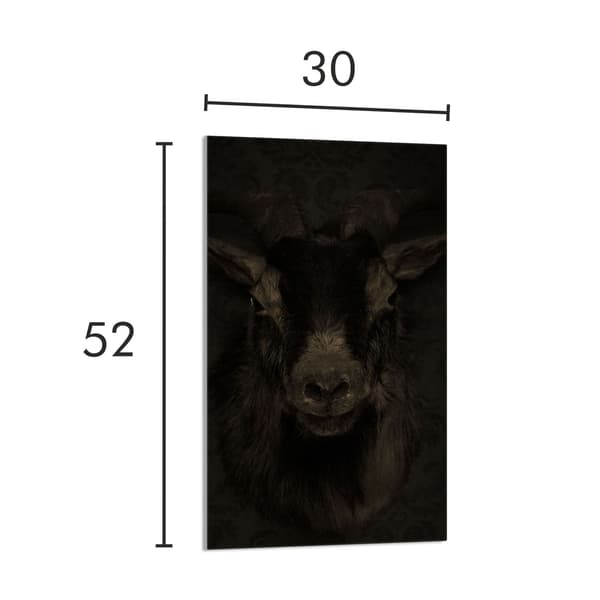 SKÄRBRÄDA I GLAS 30x52 Koza