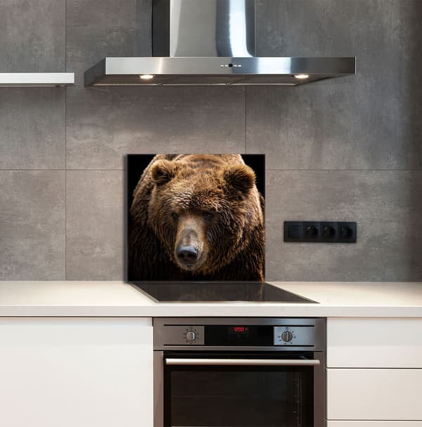 KEITTIÖN LASIPANEELI 65x60 Nalle