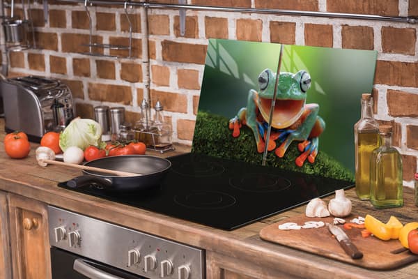 GLASBESKYTTELSESPLADE TIL KOMFUR 90x52 FROG