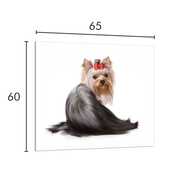 GLASPANEL TIL KØKKEN 65x60 Hund