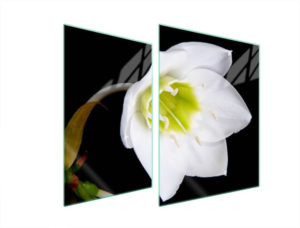 GLASSKYDDSPLÅT FÖR SPIS 70x52 ORCHID