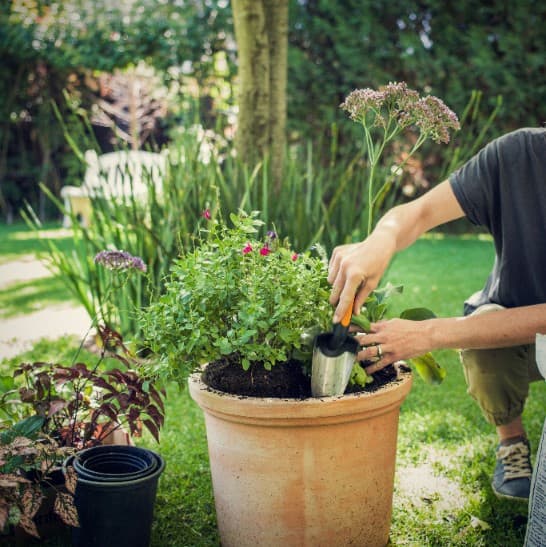 FISKARS PREMIUM Liten trädgårdsspade för plantering, omplantering av växter och jord