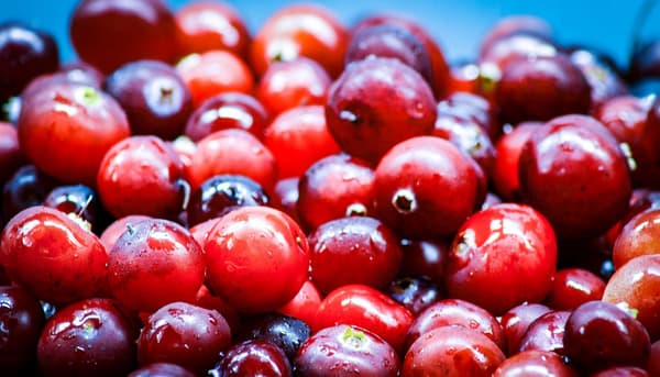 Tørrede hele tranebær Targroch 1000 g