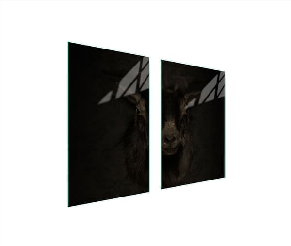 GLASSKYDDSPLATTA FÖR KÖK 65x52 KOZA
