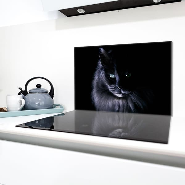 Lasinen suojalevy liedelle 80x52 Cat