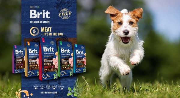 Brit Premium Sensitive Lamm och Ris Torrfoder 2x3 kg