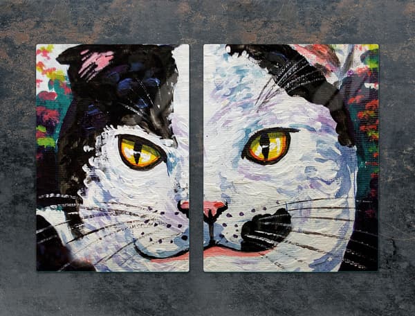 GLASBESKYTTELSESPLADE 75x52 KAT.