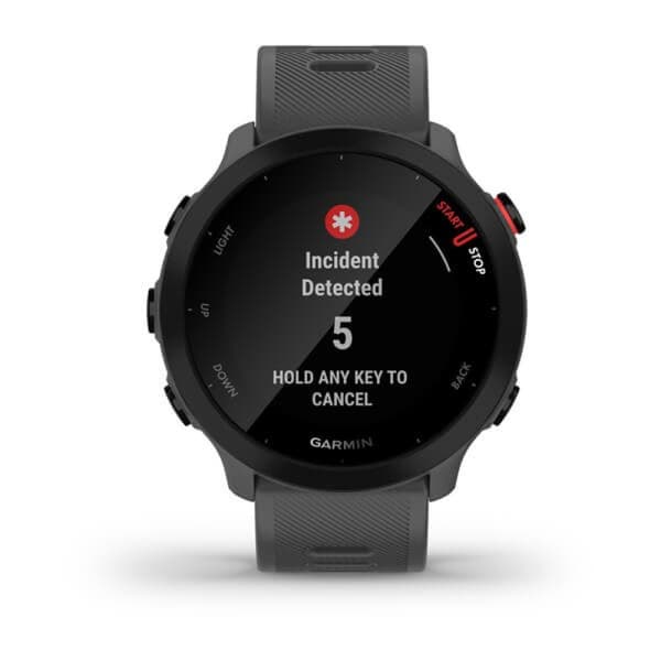 Garmin Forerunner 55 harmaa (010-02562-13)