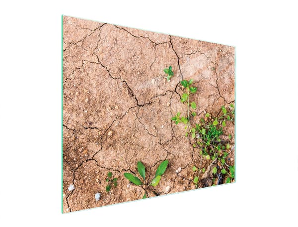 GLAS SKÆREBRÆT 52x40 PLANTER