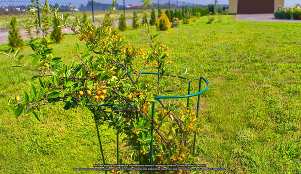Blomställning S ''45x15''[2028], ELGarden