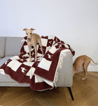Bomuldstæppe IGGY Bordeaux Lola