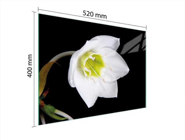 SKÄRBRÄDA I GLAS 52x40 ORCHID