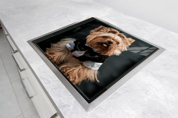 GLASSKYDDSPLÅT FÖR SPIS 50x52 HUND