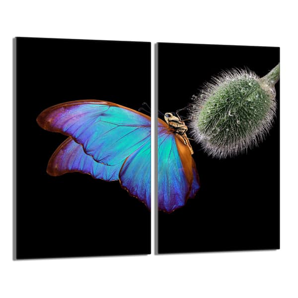 Lasinen suojalevy liedelle 2x30x52 Butterfly