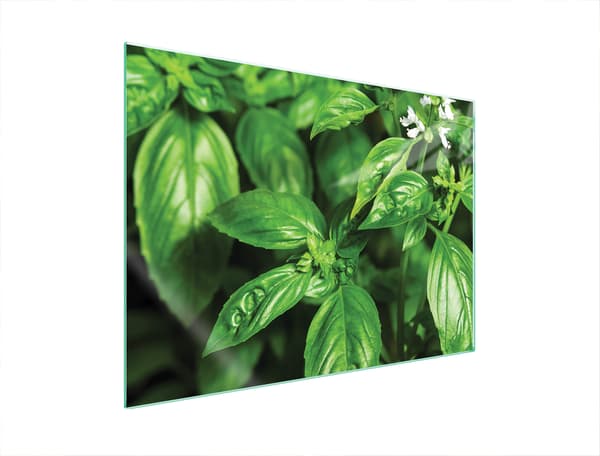 LASINEN SUOJALEVY LIEDELLE 70x52 BASIL