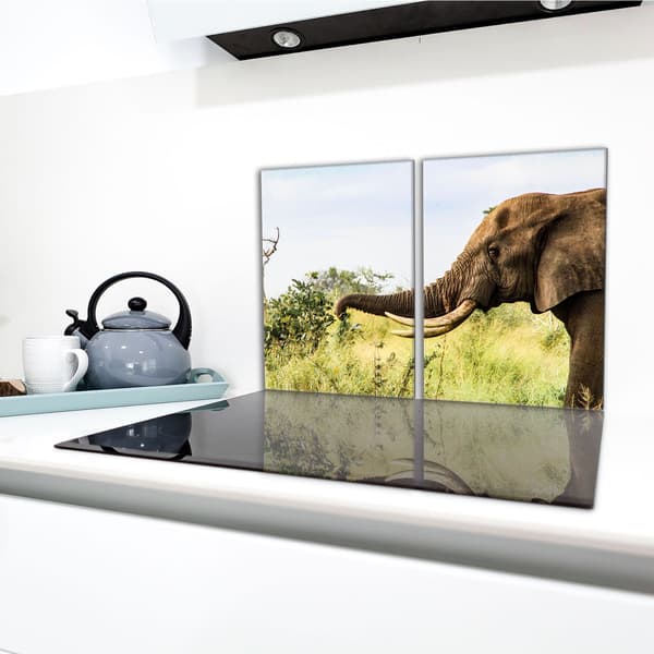 Lasinen suojalevy liedelle 2x40x52 Elephant
